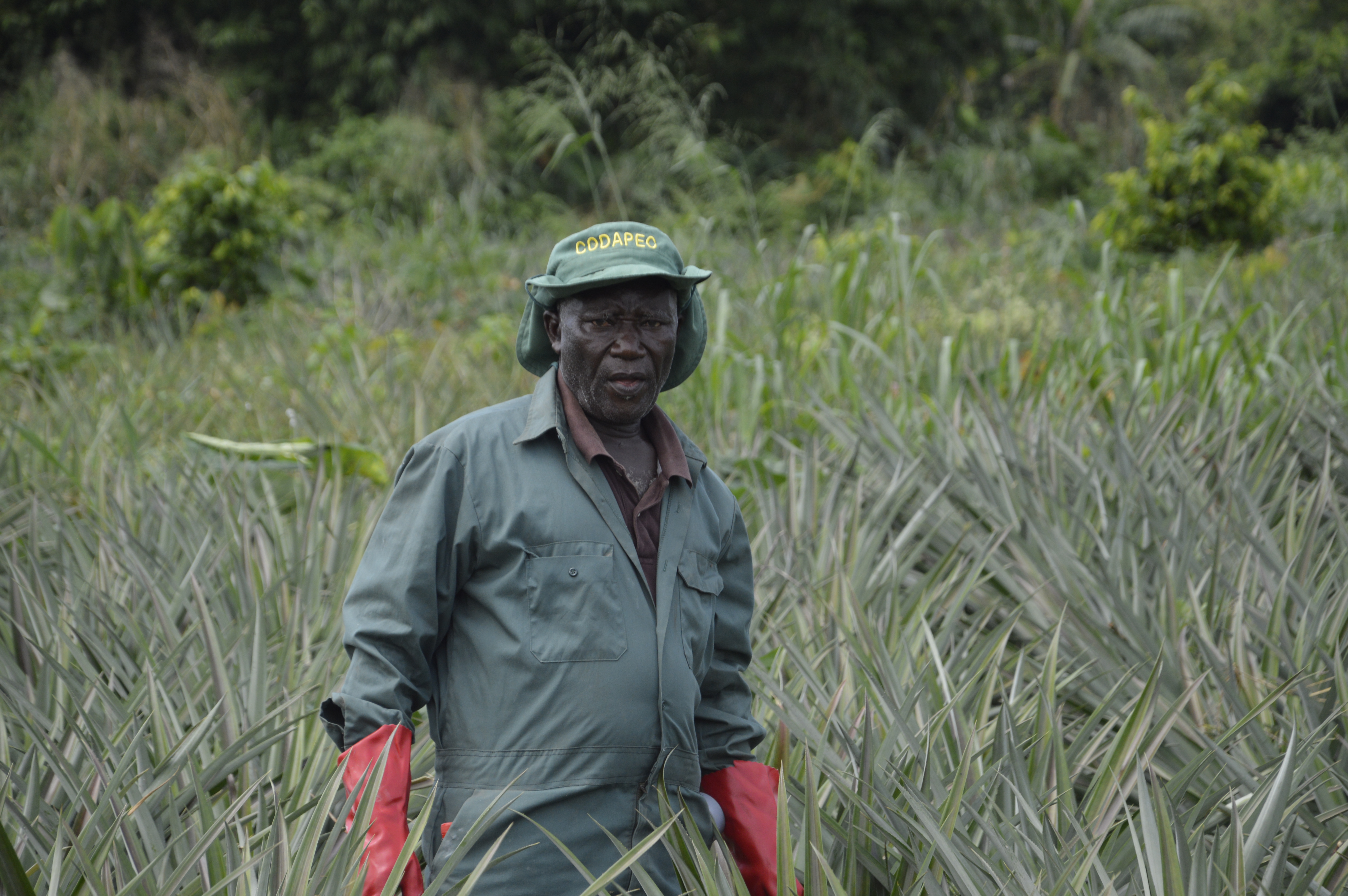  Mr. Edward Ntow Adjei, Chairman of Qualipine Union in Fotobi