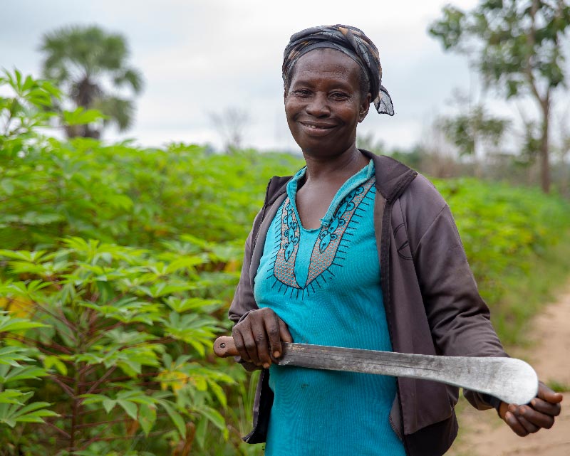 cassava farmer in Ghana